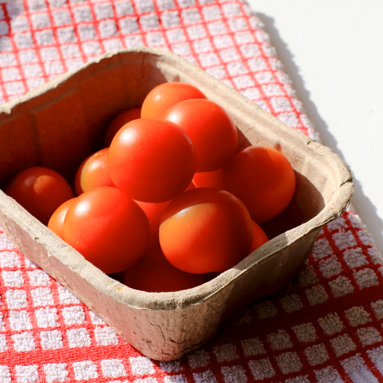 luscious tomatoes